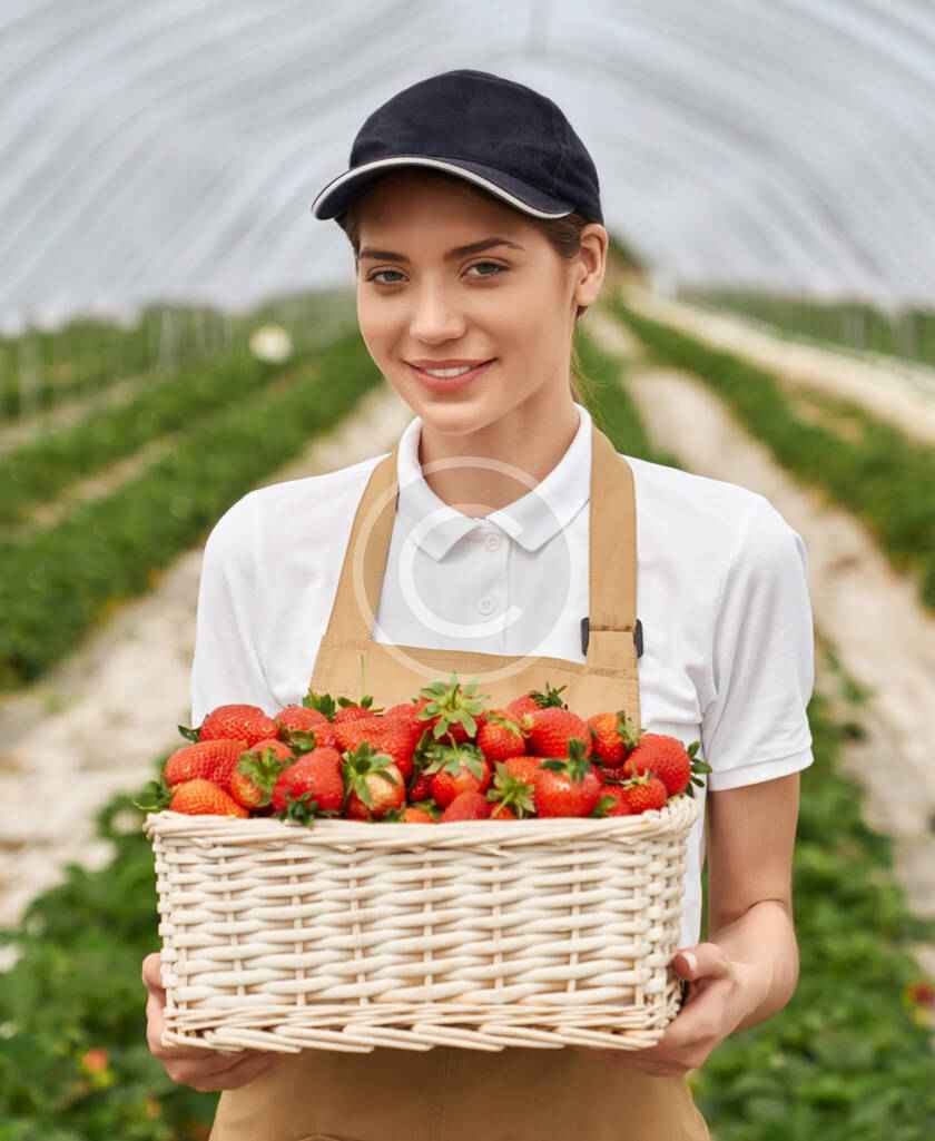 سعیده نورزاده