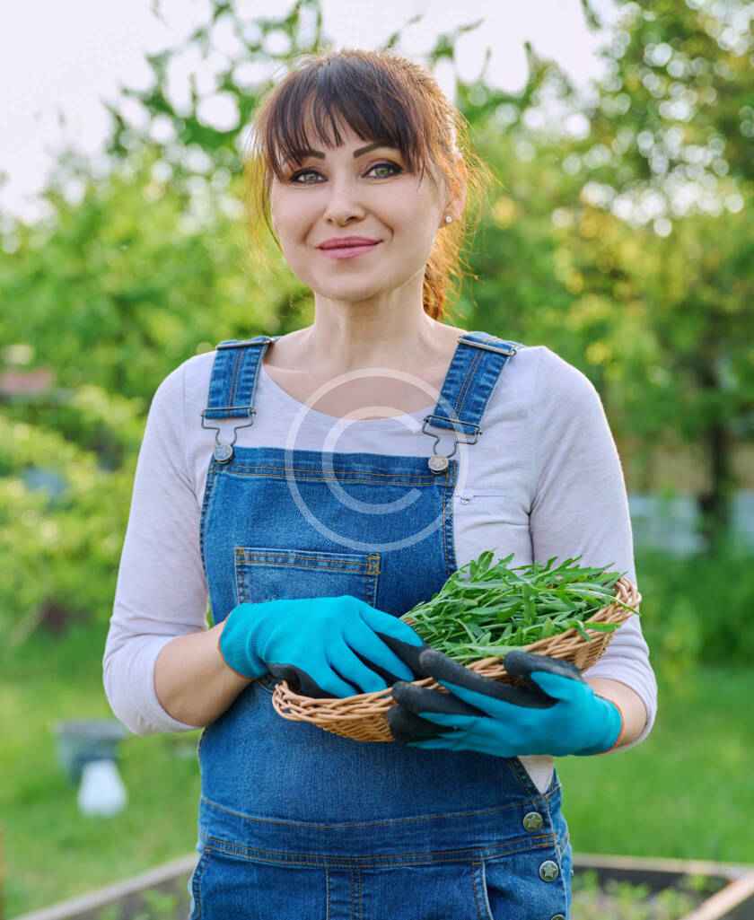 هاله محمد مراد طارم