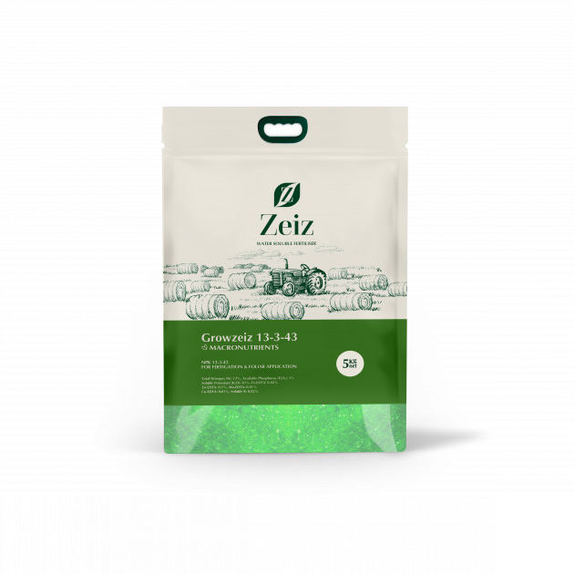 (Growzeiz13-3-43) گروزایز43-3-13