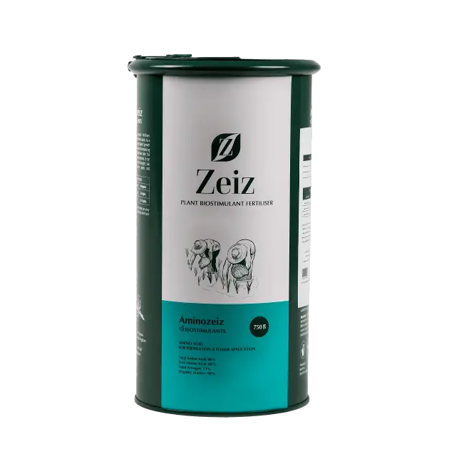 (Aminozeiz) آمینوزایز