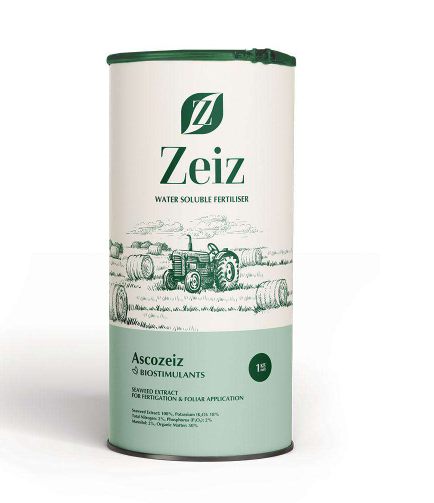 (Ascozeiz) آسکوزایز