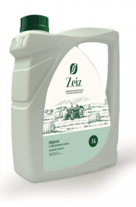 (Algizeiz) آلژیزایز