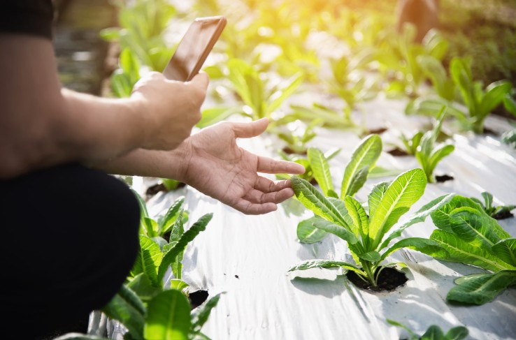 Screenshot 2025-08-25 190126