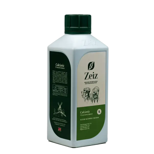 (Calcizeiz) کلسی زایز