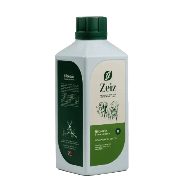 (Silicozeiz) سیلیکوزایز