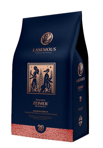 لسیموس - جلو